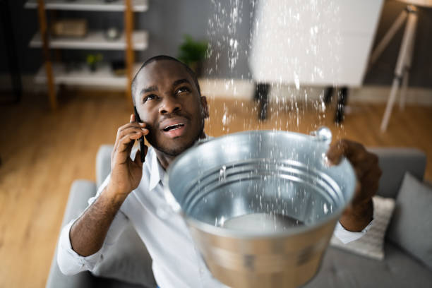 Best Water damage cleanup near me  in Allendale, NJ