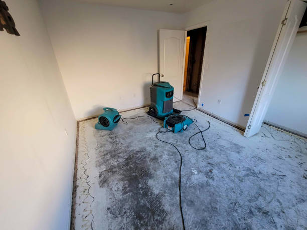 Best Flood damage cleanup  in Allendale, NJ