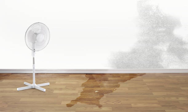 Best Water damage restoration near me  in Allendale, NJ