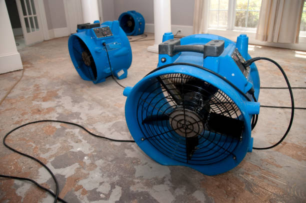 Best Water damage cleanup near me  in Allendale, NJ