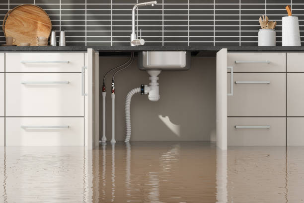 Best Professional water damage repair  in Allendale, NJ